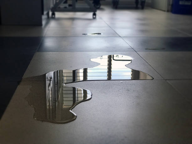 Best Water damage contractors near me  in Katonah, NY