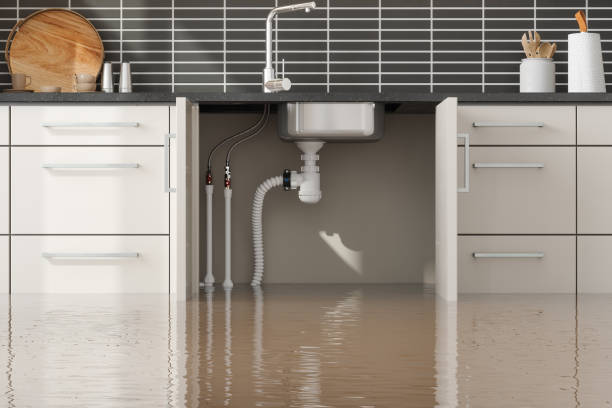 Best Flood restoration services  in Katonah, NY