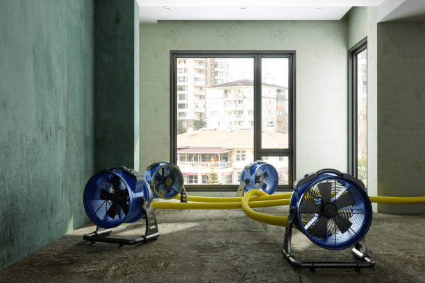 Best Local water damage restoration  in Katonah, NY